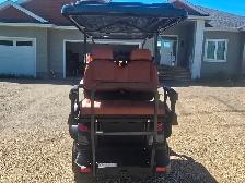 2026 Electric Lithium Golf Cart - Photo 5