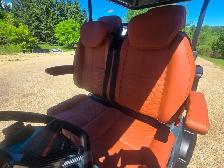 2026 Electric Lithium Golf Cart - Photo 6