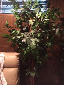 ARTIFICIAL TREES - Photo 3