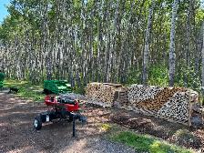 FIREWOOD - Photo 2