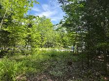 terrain à vendre rue alvin-c mitson magog - Photo 2