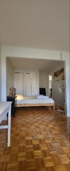 MEUBLÉ TOUT INCLUS 1490$ - PROPRE, CALME, SAFE - Mo Papineau - Photo 4