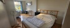 MEUBLÉ TOUT INCLUS 1490$ - PROPRE, CALME, SAFE - Mo Papineau - Photo 6