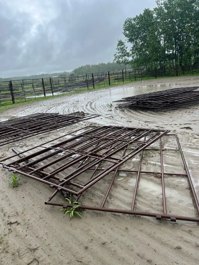 custom steel fencing