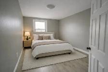 Renovated 2-Bedroom Suite — Hamilton East | $1,490/mo | Avail - Photo 6