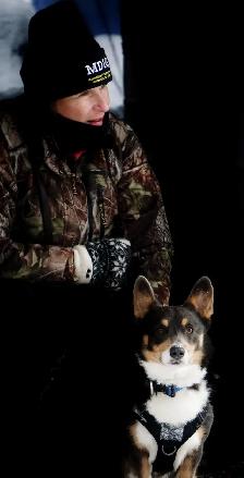 Magnifique Corgi - Photo 4