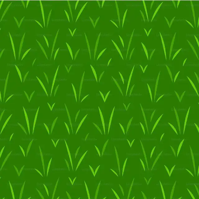 Lawn Care. Spruce Grove/Stony Plain