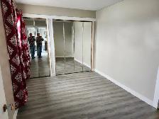 Two bedroom apartment-$1600 /Month - Photo 7