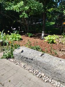 Garden Cleanup - Photo 2
