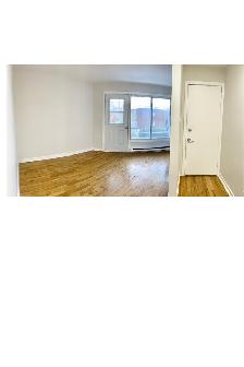 Clean and Large 3.5 apartment in Lasalle available July 1