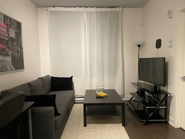 Modern Completely Furnished 1-Bedroom Condo in Heart of Downtown