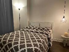 Modern Completely Furnished 1-Bedroom Condo in Heart of Downtown - Photo 2