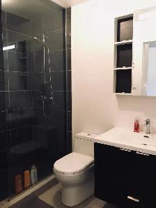 Modern Completely Furnished 1-Bedroom Condo in Heart of Downtown - Photo 6