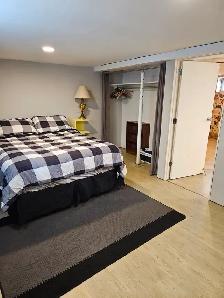 1 Bedroom Basement Suit - Photo 2