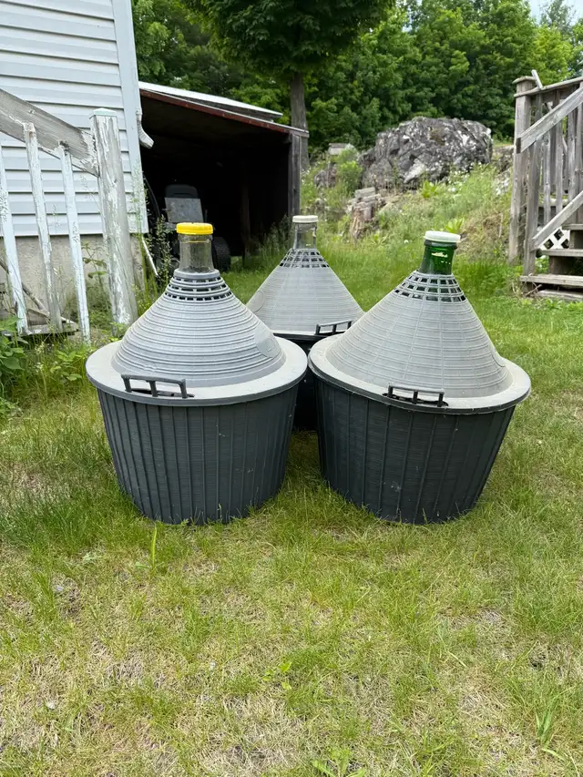 54L Carboys