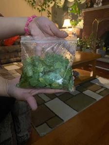Mini waterlettuce aquarium plants - Photo 6