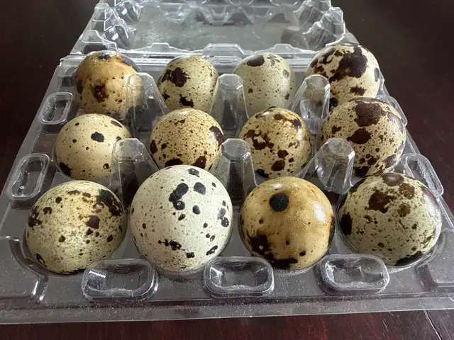 Coturnix quail eggs.