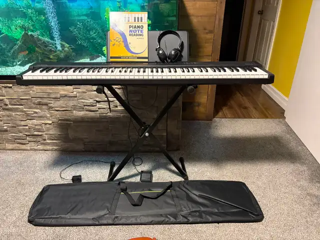 Alesis Keyboard Piano.