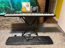 Alesis Keyboard Piano.