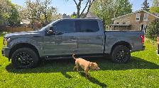 2020 Ford F-150 XLT - Photo 6