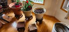 Excellent condition plant base holders - Photo 2