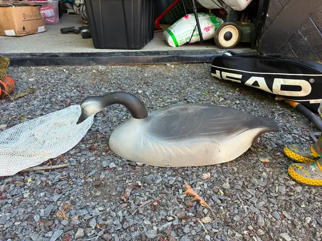 Hunting goose decoy