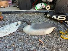 Hunting goose decoy