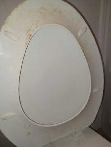 Suzys Diamond Shine Cleaning - Photo 2