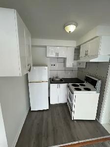 3 1/2 Apt LIBRE Visite entre 11:00 et 3:00 TOUT LES JOURS - Photo 4