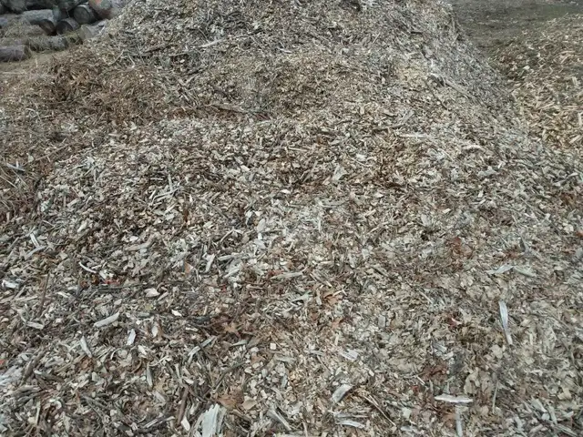 wood chips