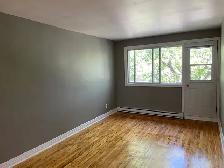 Grand 4 1/2 A Louer $1,200.00/mois - Photo 6