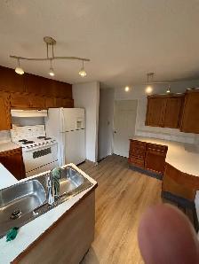 Basement for Rent - Photo 2