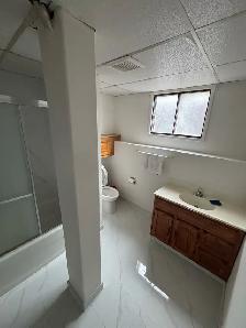 Basement for Rent - Photo 3