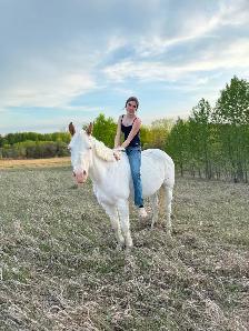 5yr mare (motivated to sell) - Photo 2