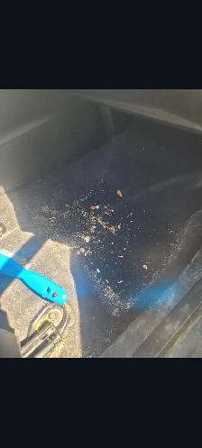 Car cleaning - Photo 2
