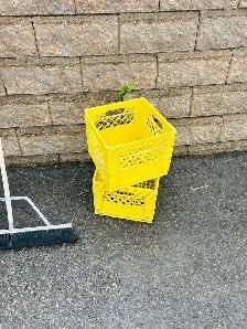 milk crate