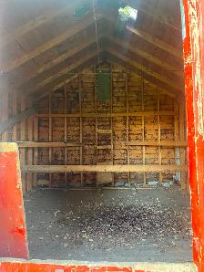 Outdoor Shed - Photo 3