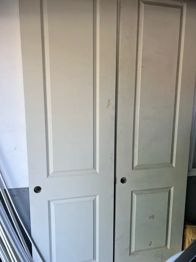 door custom tall door