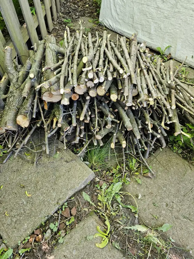 Bois de chauffage