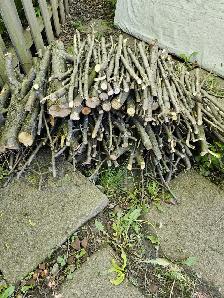 Bois de chauffage