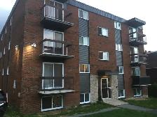 1 bdrm apt all incl, centre Hull, direct bus to Ottawa U & L'UQO - Photo 2
