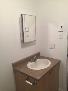 1 bdrm apt all incl, centre Hull, direct bus to Ottawa U & L'UQO - Photo 9