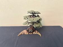 Warhammer Age of Sigmar Awakened Wyldwood set - Photo 4