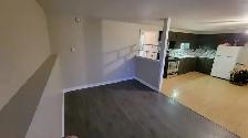 2 BEDROOM APARTMENT(1YR-LEASE) FOR RENT IN BEAUTIFUL ST-ANTOINE! - Photo 2