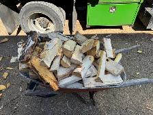 Firewood Bundles and Kindling Kits - Photo 2