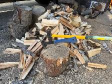 Firewood Bundles and Kindling Kits - Photo 5