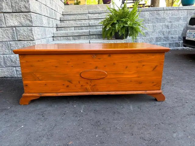 Solid Wood Trunk #2.