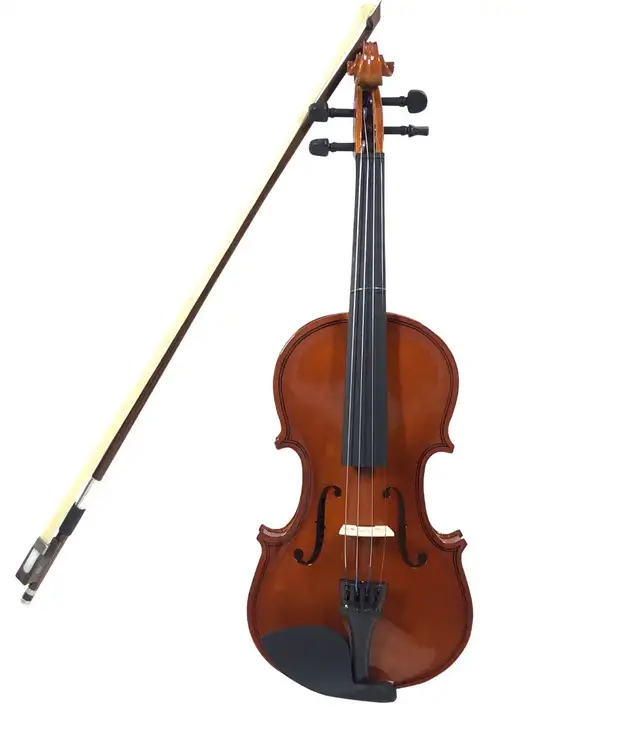 Violin and Music Theory Lessons