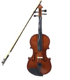 Violin and Music Theory Lessons