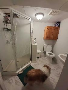 short term 1 month room for rent - Photo 4